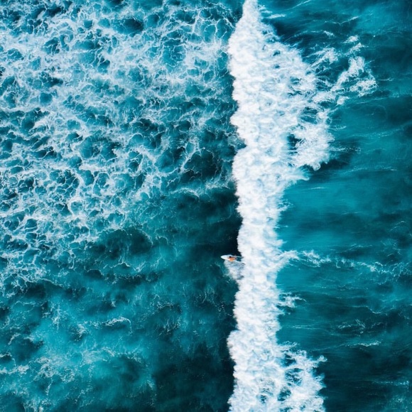 Meet your Posher, Mckenzie - Picture 1 of 1